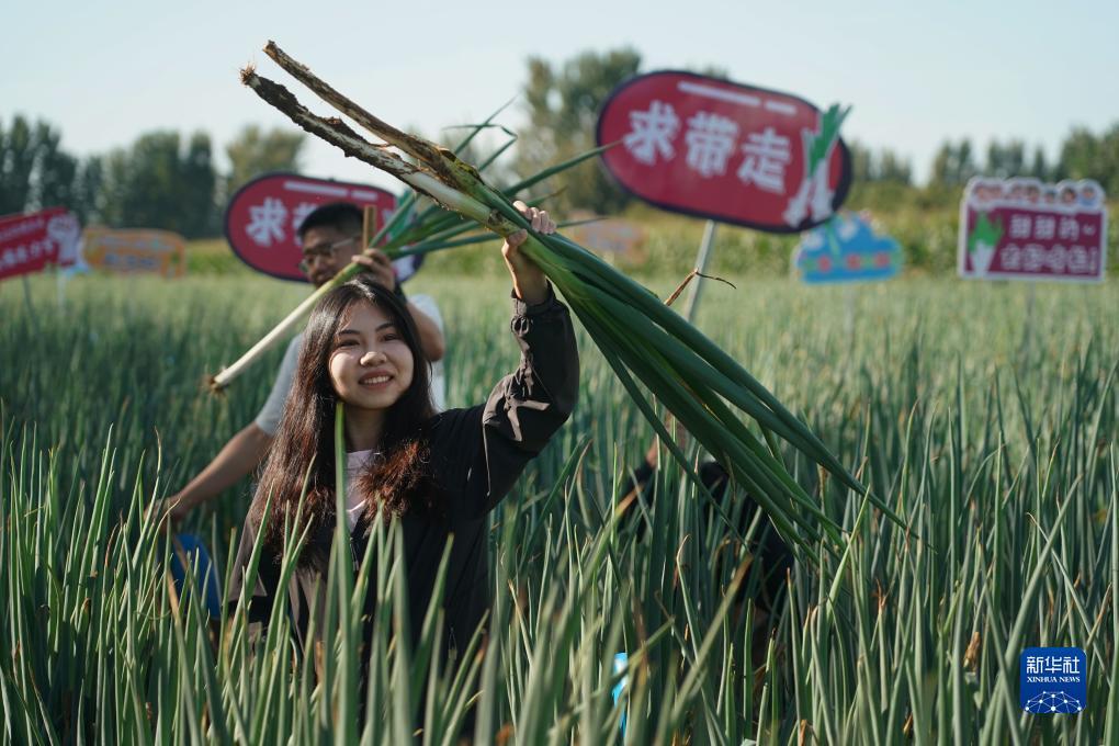 必赢28登录